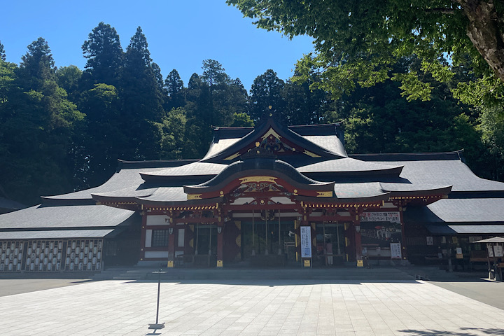 盛岡メンズ脱毛CoCoサロン